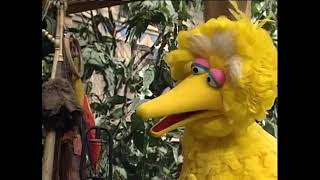 Sesame Street: Kids Favorite Songs DVD Preview (2001)