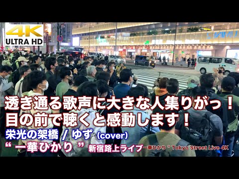 【目の前で聴くと感動します！】透き通る歌声に大きな人集りがっ！　栄光の架橋 / ゆず（cover）  " 一華ひかり "  2021.11.3 新宿路上ライブ 【4K】