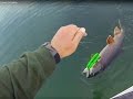 Trolling Lake Trout On Flatfish: Spoon Plugging Basics From Plummer's Lodges