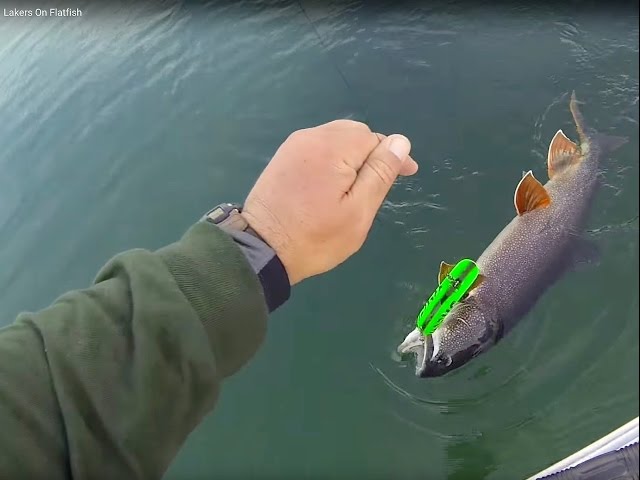 Trolling Lake Trout On Flatfish: Spoon Plugging Basics From Plummer's  Lodges 
