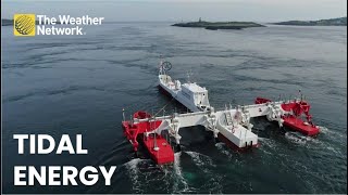 Onboard the innovative floating tidal energy project in Nova Scotia