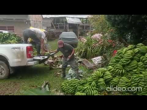 En Cundinamarca compran directamente las cosechas de agricultores afectados por emergencia invernal