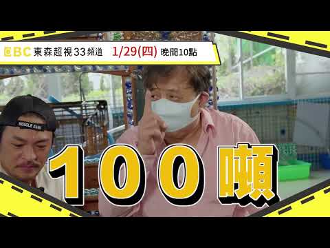 老外調查團1/29(首)、1/30即將在電視台播出喔！敬請鎖定東森超視33頻道 彈珠汽水篇 預告