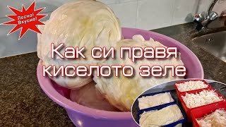 видео: Правите ли кисело зеле? - Вижте аз как го правя! картинка: Правите ли кисело зеле? - Вижте аз как го правя!