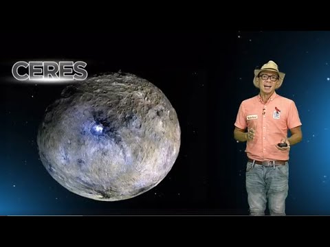 Video: Gaano karaming tubig ang nasa puno?