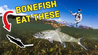 Top 10 MUST HAVE Flies for Fly Fishing The Bahamas