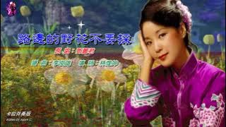 路邊的野花不要採〈華語〉鄧麗君〈卡拉伴奏版〉