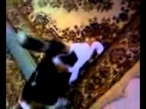 Kalikitty Kalikitty
