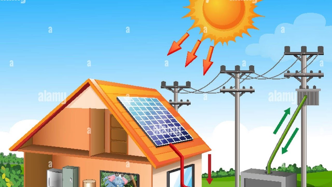 Science Grade 4 Concept 1 part 2 second term 2026 شرح الجزء التاني من المفهوم الاول ساينس سنة رابعة