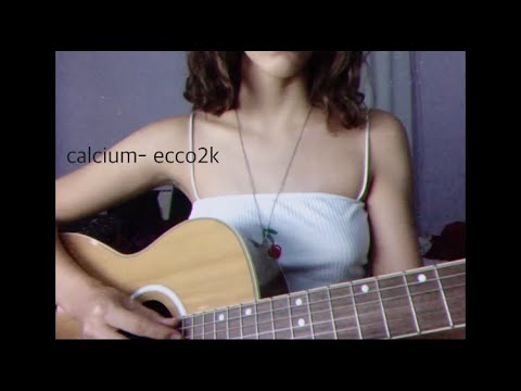 calcium by ecco2k acoustic cover