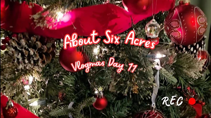 Vlogmas Day 11: Let's find a Christmas tree 