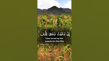 قرأن كريم تخشع له القلوب الصادقة #elmulquranعلم #قران_كريم #تلاوة #اكسبلور #trend #لايك #المصحف