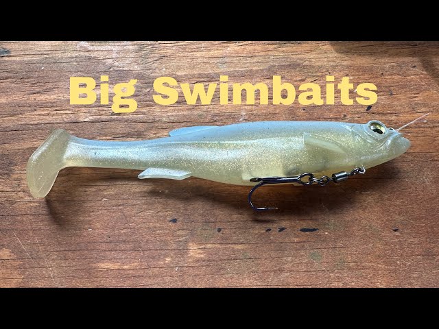 How And When To Fish A Big Swimbait… 
