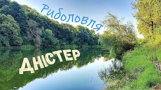 видео: Дністер. Риболовля з ночівлею. Напали шершні ! картинка: Дністер. Риболовля з ночівлею. Напали шершні !