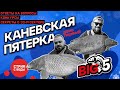 Каневская пятерка  - день первый!