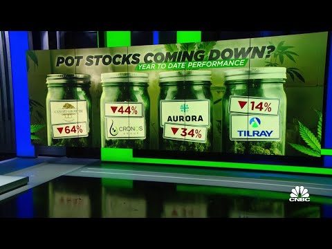 Green Thumb Industries forecasts cannabis industry growing to $75 billion in 3 to 5 years thumbnail