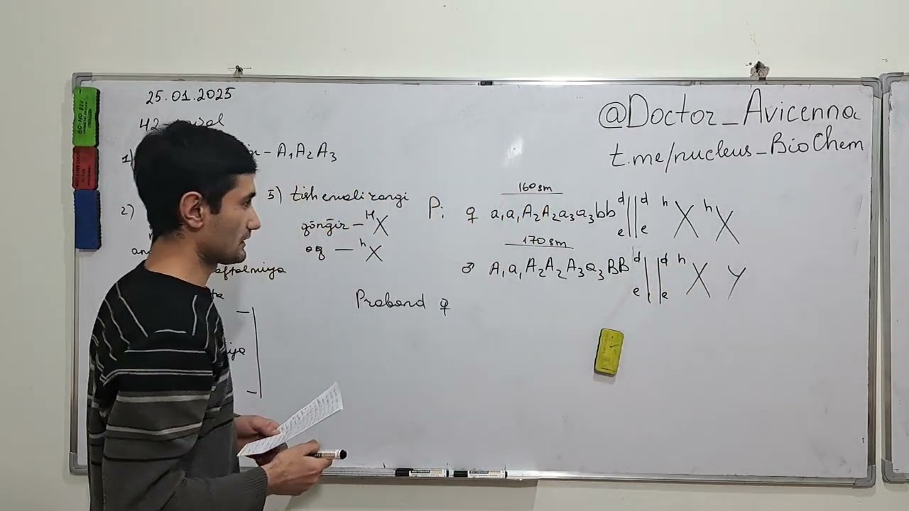 Genetika.42-savol(25.01.2025) Biologiya Milliy sertifikat yozma ish qismidagi savol yechimi