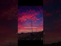 Love it #homebts #bts