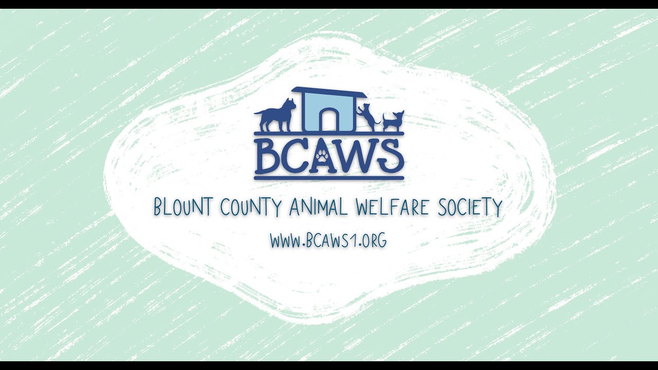 BCAWS - Helping Families & Communities