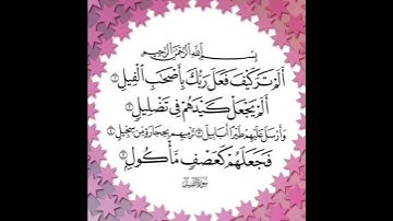قران كريم سورة الفيل تلاوة القارئ رعد الكردي