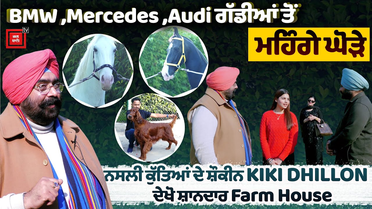 ਵੇਖੋ DHILLON ਪਰਿਵਾਰ ਦਾ Farm House,Luxury ਗੱਡੀਆਂ ਤੋਂ ਮਹਿੰਗੇ ਘੋੜੇ ਨਸਲੀ ਕੁੱਤੇ,ਦੇਖ ਕੇ ਰੂਹ ਹੋਵੇਗੀ ਬਾਗ਼ੋਬਾਗ