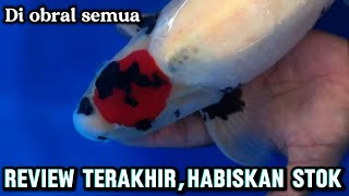 Big Salelast review Running Out Of Stockkoi Price Review At Yuza Koi Farm