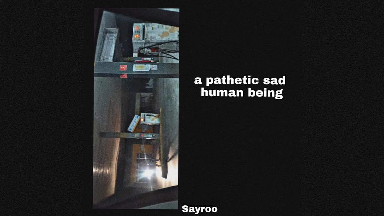 Sayroo - a pathetic sad human being