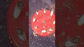 Cigarette Se Aisha Experiment Nahi Dhakhe Hoge