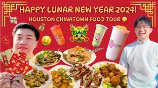 EPIC VIETNAMESE HOUSTON CHINATOWN FOOD TOUR! 😋 Celebrate LUNAR NEW YEAR 2024 🐉 with ME ft. DANNY 🥟🧧🤑