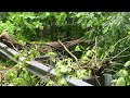 05-27-2024- Stewartsville Bedford County, Virginia - Tornado Producing Storm causes damage