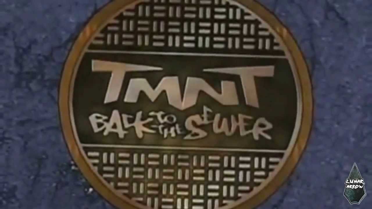 TMNT 2003/2012 Comatose