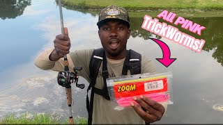 Bass Fishing with all PINK TRICK WORMS!