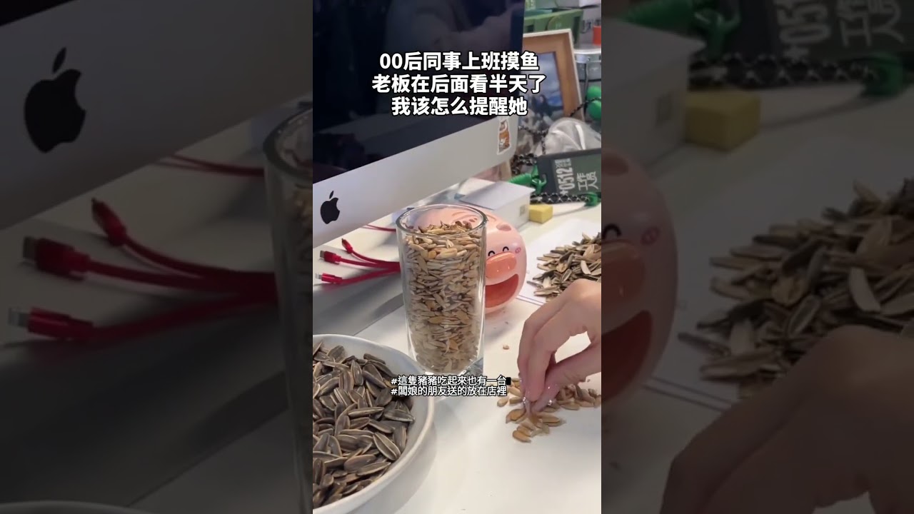 Automatic Sunflower Seed Peeling Machine ✨️ Product link in bio 