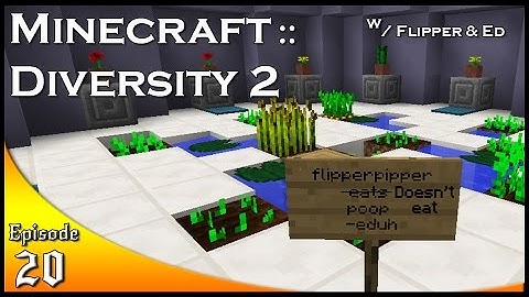Minecraft :: Diversity 2 :: Ep20
