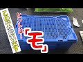 ペットショップで売れ残ってしまった子を引き取って飼うことにしました