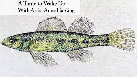 A Time to Wake Up with Artist Anne Harding