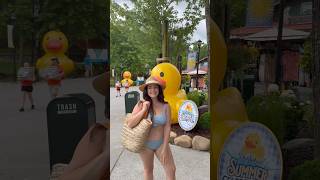 Visit Dollywood Splash Country Waterpark