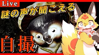 【閲覧注意】廃墟で謎の失踪事件を調査するホラーゲームがヤバ過ぎた！〖Chilla's Art 自撮 jisatsu〗ケモノVTuber狐夜いちび