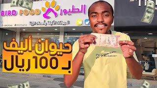 حيوان اليف ب100ريال محلات جده??