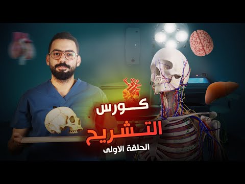 أول حلقة من كورس أساسيات التشريح       