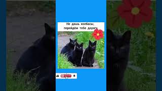 Как милинкий😂🤣 #шутка #юмор #шуточное #смехпродлеваетжизнь #shorst