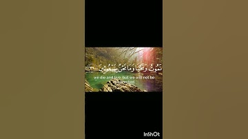سورة المؤمنون #أية ٣٤ - ٤٠#القارئ ياسر الدوسري.