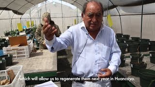 Alberto Salas: 50 Years of Working with Wild Potato Relatives