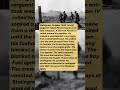 A Soldier Killed a Tank With a Burning Blanket #short #history #ww2