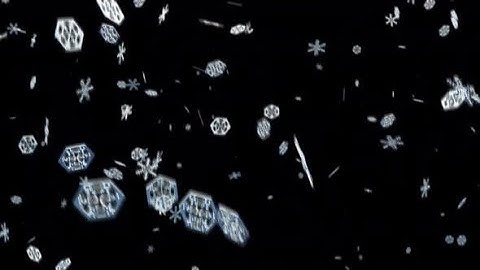 4K Animated Motion Graphic video stock | Christmas Snowflakes Particle by Under21 studio