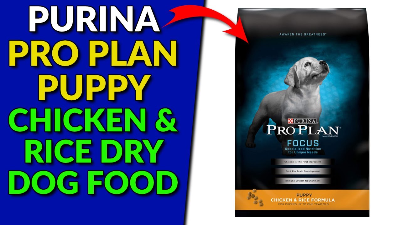 Purina Pro Plan Puppy Chicken & Rice Dry Dog Food YouTube