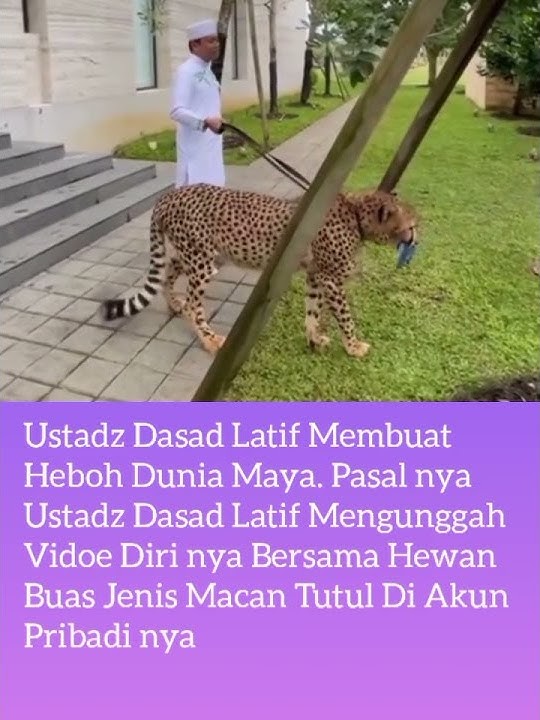 Ustad dasad latif pelihara macam tutul #shorts