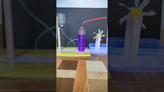 How to make fountain without electricity #trendingshorts #experiments #tricks #science