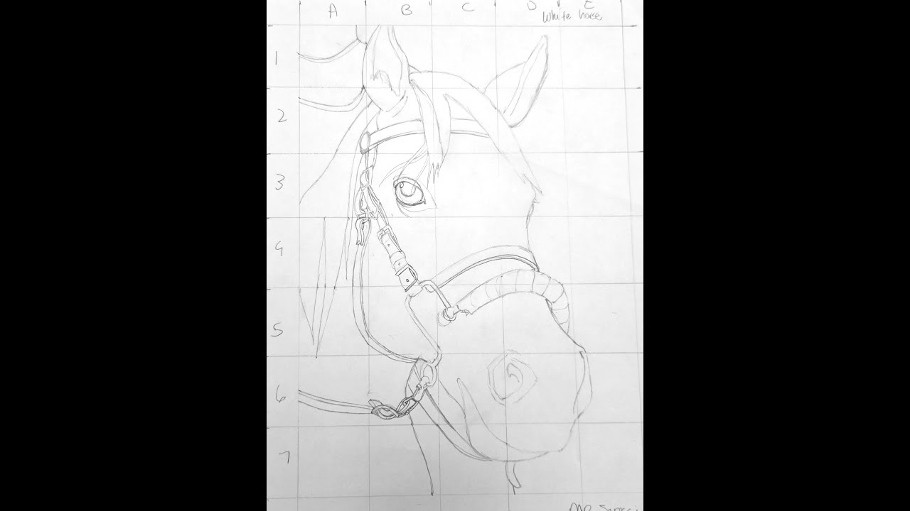 Rodeo Paper Gridding Instructions