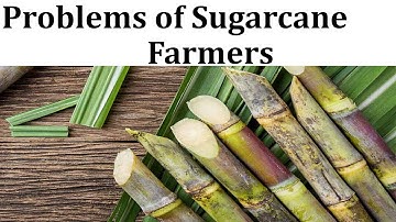 Problems of Sugarcane Farmers | Fair and Remunerative Prices FRP | MSP | Agriculture | Levy Price |